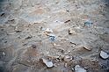 20090603_153203 D3 X1